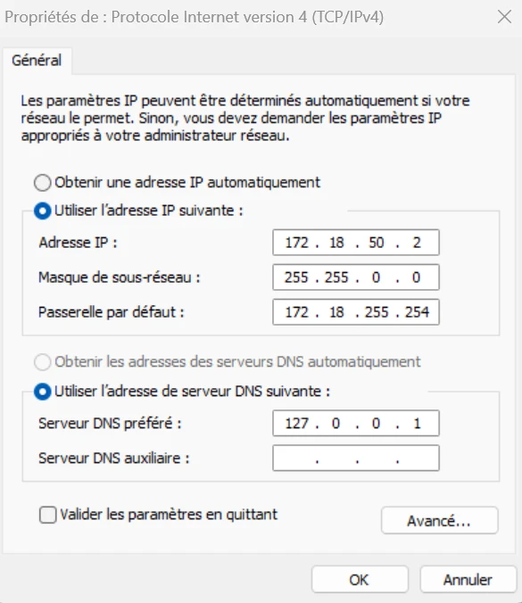 Propriétés IPv4 du serveur : adresse 172.18.50.2, masque 255.255.0.0.