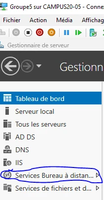 Gestionnaire de serveur : rôle Services Bureau à distance installé.