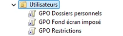 GPO Dossiers personnels, Fond écran imposé et Restrictions.
